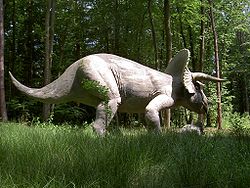  Reconstitution du Triceratops