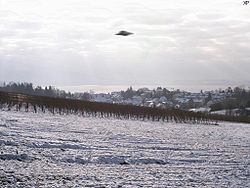 UFO-Meersburg.jpg