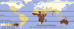 Unlabeled Renatto Luschan Skin color map.png