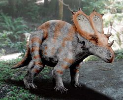  Utahceratops (reconstitution)
