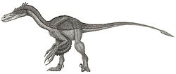  Velociraptor (vue d'artiste)