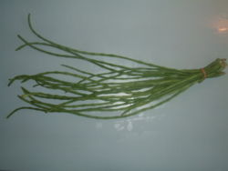  Vigna unguiculata (gousses)