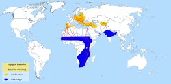 White Stork migration map-fr.svg