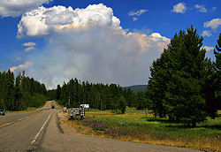 Feu de forêt au Parc national de Yellowstone produisant un pyrocumulus