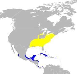 Wilsonia citrina map.svg