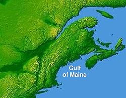Golfe du Maine