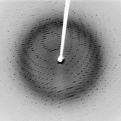 X-ray diffraction pattern 3clpro.jpg