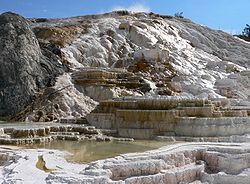 Formations calcaires aux Mammoth Hot Springs.