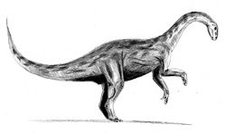  Yunnanosaurus huangi (vue d'artiste)