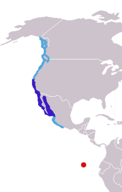 Zalophus californianus distribution.png