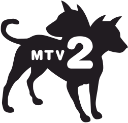 MTV2 logo 2005.svg