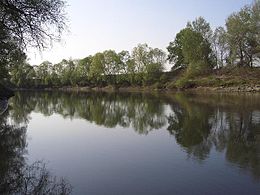 La rivière Someș.