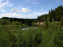 Confluence de l'Oucha avec la Viliia