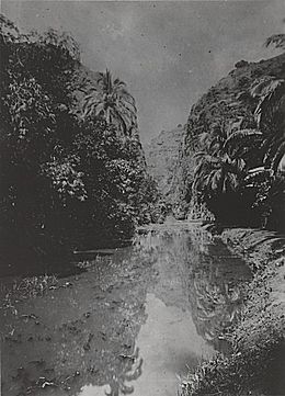 Photographie de la ravine Bernica en 1889.