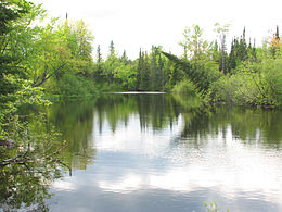 Vue de la rivière Bonnechère  dans sa traversée du Parc provincial Bonnechère