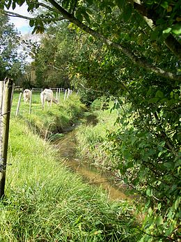 La Vesgre à Bourdonné.