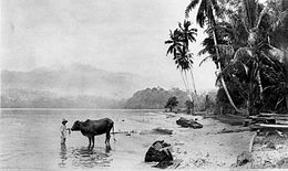 COLLECTIE TROPENMUSEUM Aan het Ranau-meer in Zuid-Sumatra augustus 1926. TMnr 60014496.jpg