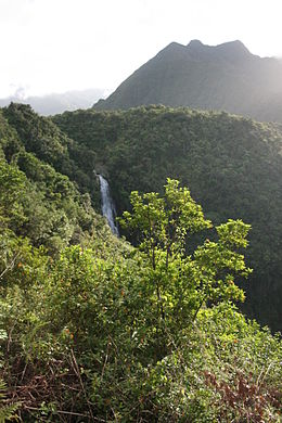 Vue de la cascade du Chien, une chute d'eau formée par le Bras des Lianes.
