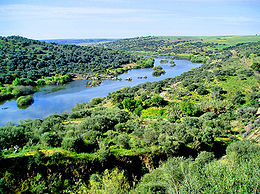 Le Guadiana près de Serpa (Portugal).