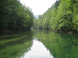 La rivière Idrijca près du lac Sauvage.
