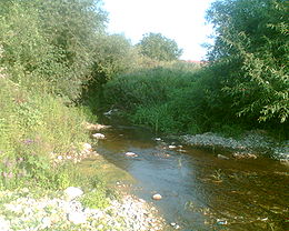 La Jasenička reka près de Miloševo