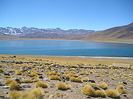 Laguna Miscanti avec le Cordón de Puntas Negras en arrière plan.