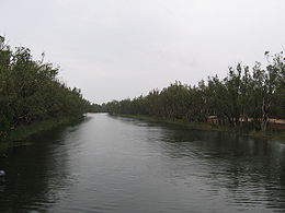 La Loddon River en amont du barrage de Bridgewater