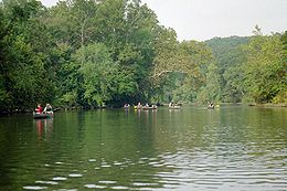 Canoës sur la rivière Meramec.