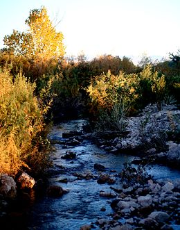 Muddy River 1024x768.jpg