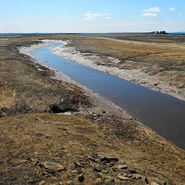 La rivière Mésagouèche à marée basse.
