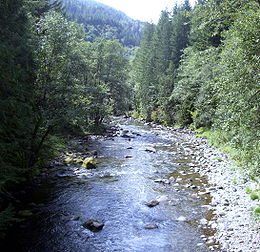 Oregon Salmon River Clackamas County from bridge looking west P1651.jpeg