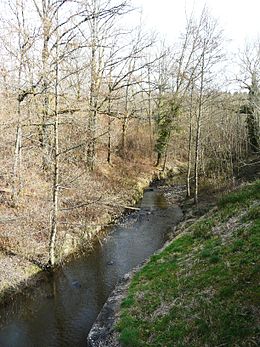 Le ruisseau de la Penchennerie en limite de Saint-Éloy-les-Tuileries et Ségur-le-Château.