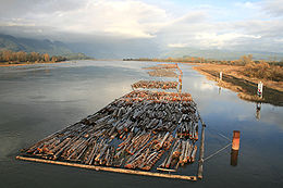 La rivière Pitt vue depuis le pont de l'autoroute Lougheed à Port Coquitlam