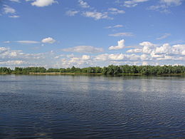 La rivière Pripiat près de Mozyr.