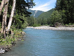 Queets river.jpg