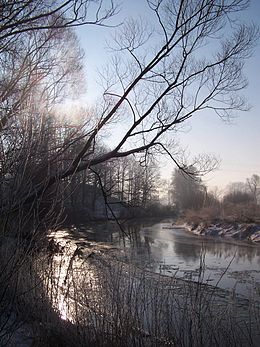 La rivière Kwisa
