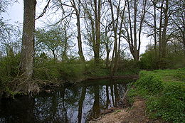 La Sainte-Suzanne  à Unverre.