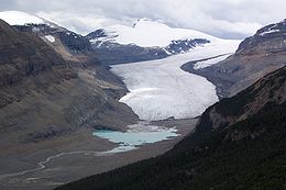 Le glacier Athabasca