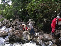 Des randonneurs dans la ravine Sèche à proximité de la cascade Biberon.