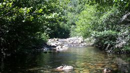 Le Trèvezel au niveau d'Aiguebonne, près de Lanuéjols