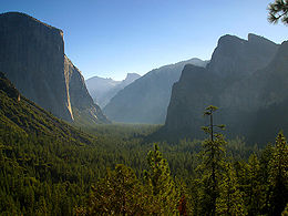 Yosemite Morning.jpg