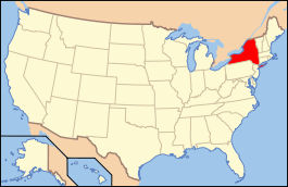 Carte des États-Unis avec le New York en rouge.