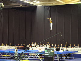 Henrik Stehlik lors de la finale de la Coupe du monde 2008 à Togliatti