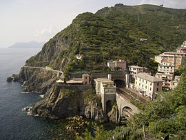 Vue des voies de la gare de Riomaggiore depuis le village.