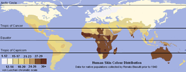 Unlabeled Renatto Luschan Skin color map.png
