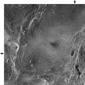Segment de Baltis Vallis long de 600 kmvu par la sonde Magellan vers 49° N • 165° E[1].