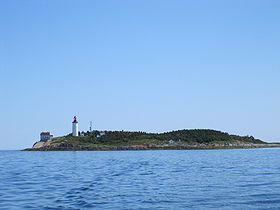 Île Bicquette
