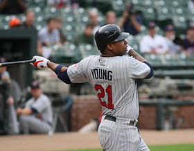 AAAA7200 Delmon Young.jpg