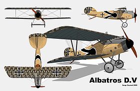 Albatros D.V 3 vues.jpg