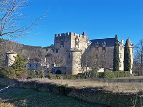 Image illustrative de l'article Château d'Allemagne-en-Provence